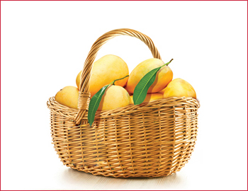 Basket of Mangoes; Dozen Mangoes with basket