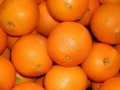 Oranges - 1 Dozen; Export Quality Golden, Juicy, Oranges.